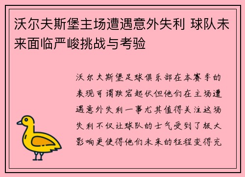 沃尔夫斯堡主场遭遇意外失利 球队未来面临严峻挑战与考验