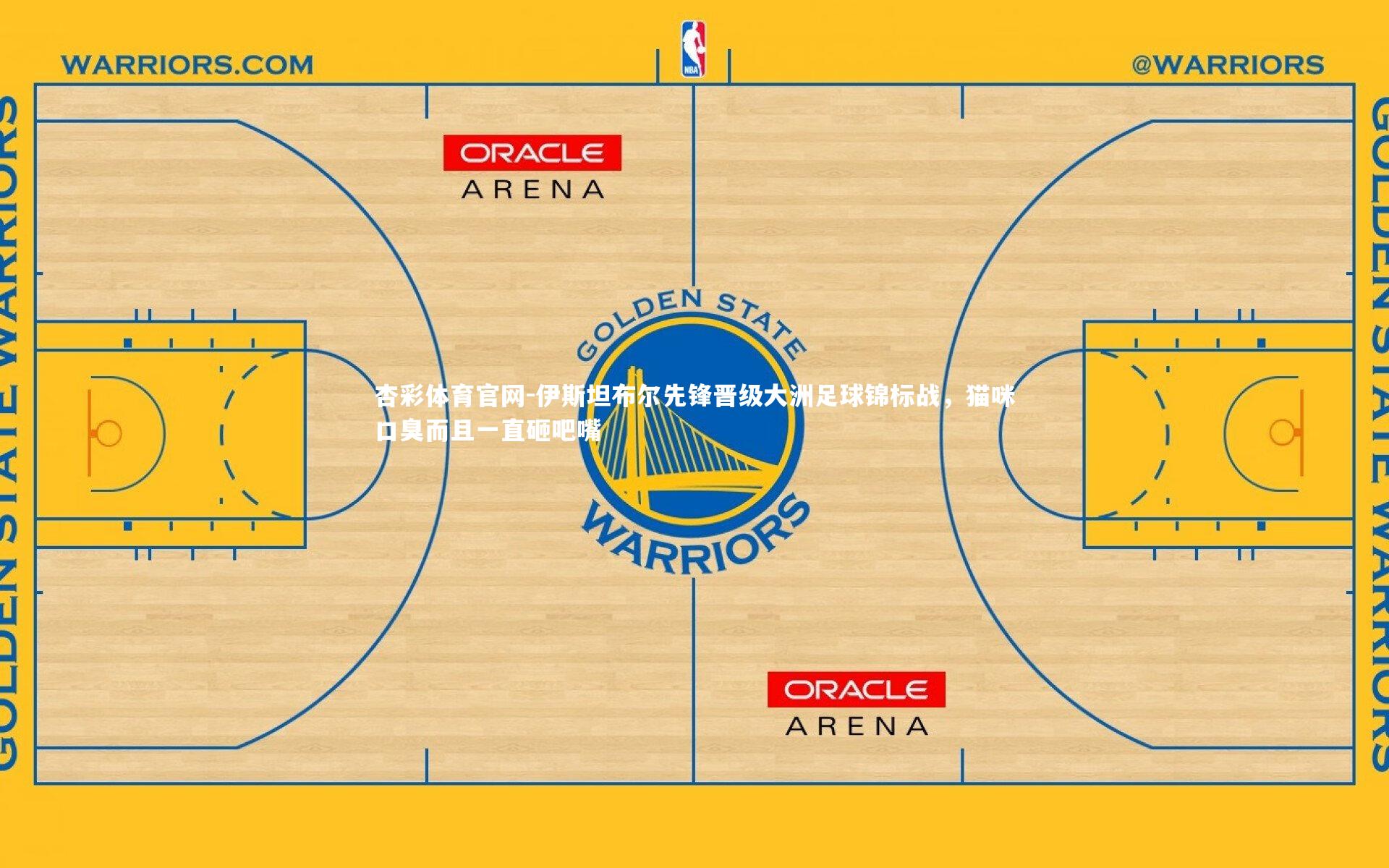 杏彩体育官网-伊斯坦布尔先锋晋级大洲足球锦标战，猫咪口臭而且一直砸吧嘴-第1张图片-杏彩体育官网