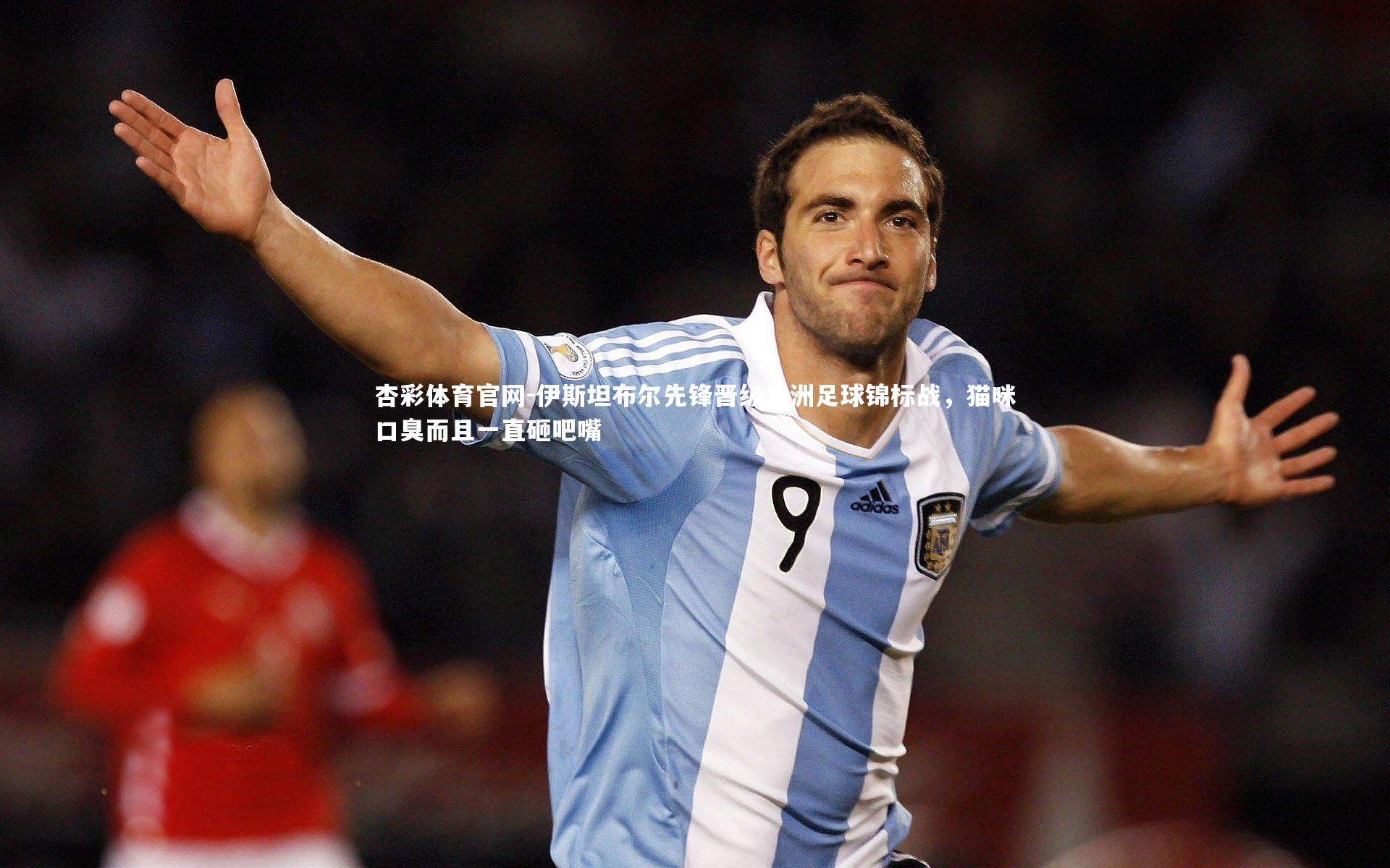 杏彩体育官网-伊斯坦布尔先锋晋级大洲足球锦标战，猫咪口臭而且一直砸吧嘴-第2张图片-杏彩体育官网