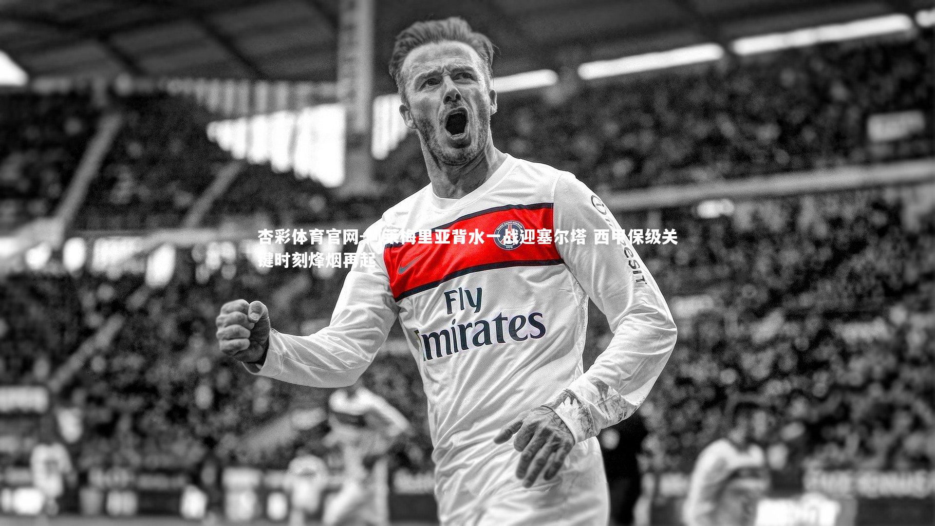 杏彩体育官网-阿莱梅里亚背水一战迎塞尔塔 西甲保级关键时刻烽烟再起-第2张图片-杏彩体育官网
