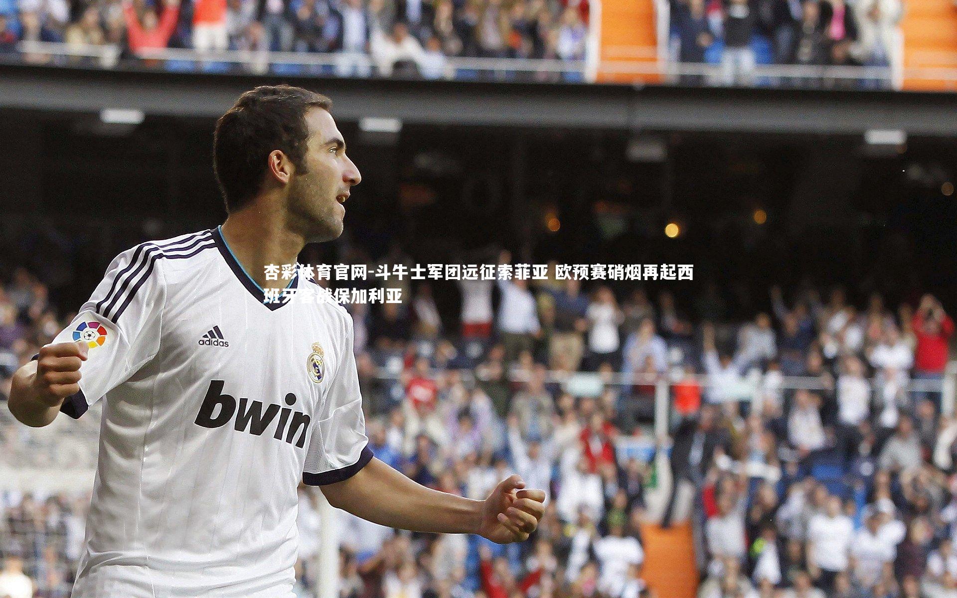 杏彩体育官网-斗牛士军团远征索菲亚 欧预赛硝烟再起西班牙客战保加利亚-第2张图片-杏彩体育官网